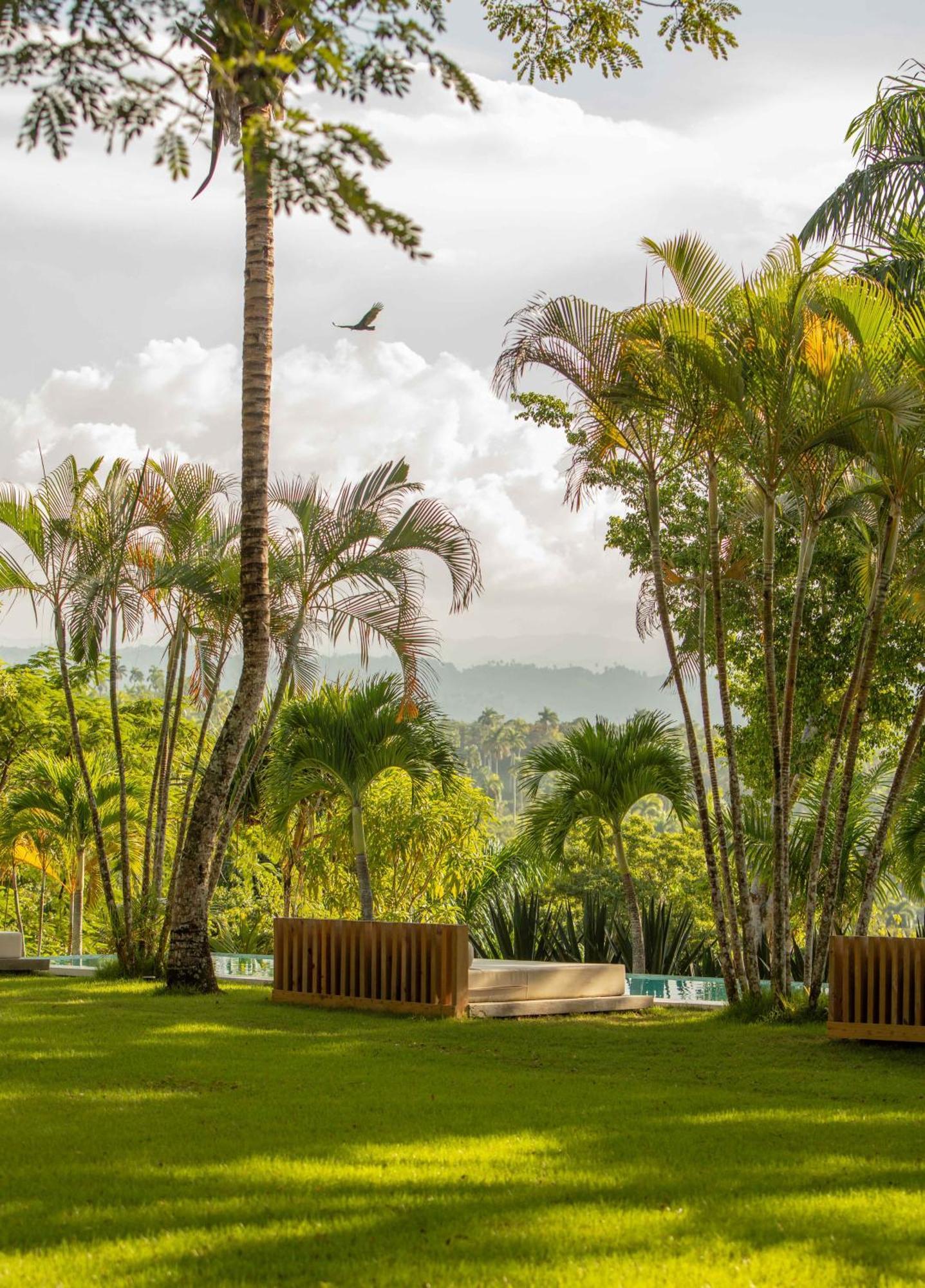 Oya - Wellness Eco Resort & Retreat Jamao al Norte Kültér fotó
